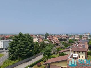 Vista