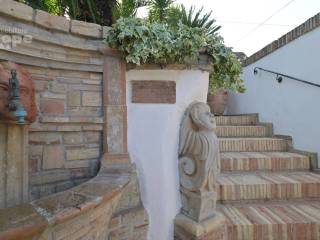 Zona