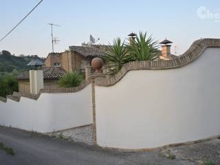 Zona