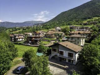 Vista