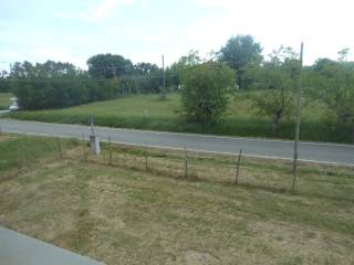 Zona