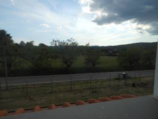 Zona