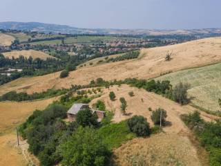Vista