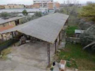 Zona
