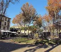Zona