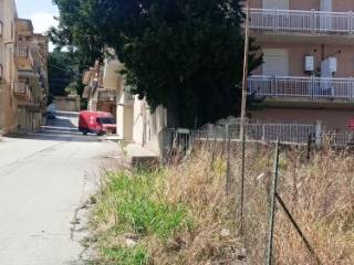 Zona