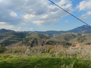 Vista