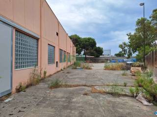 Zona