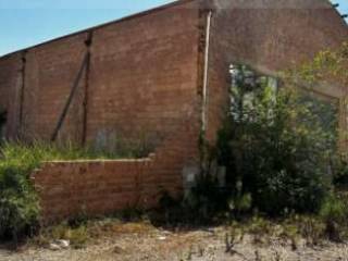 Zona