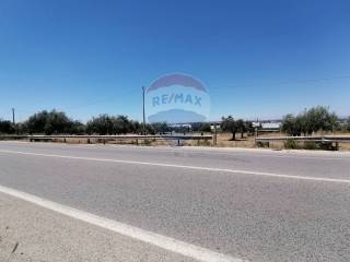 Zona