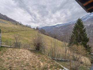 Vista