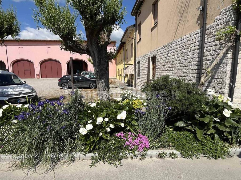 Giardino