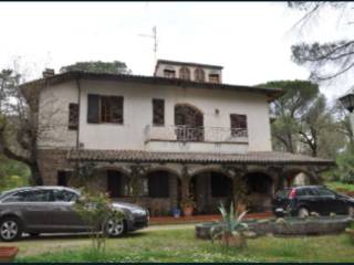 Zona
