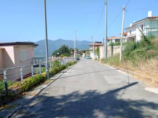 Zona