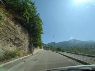Zona