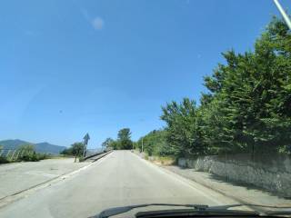 Zona