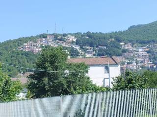 Vista