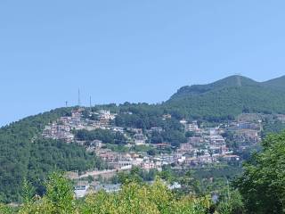 Vista