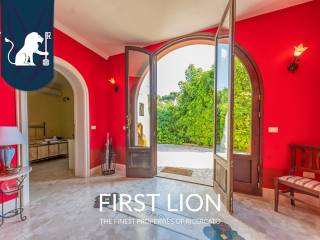 Salone