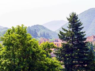 Vista
