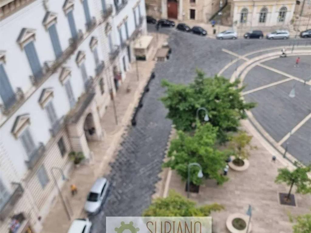Zona