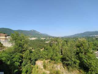 Vista