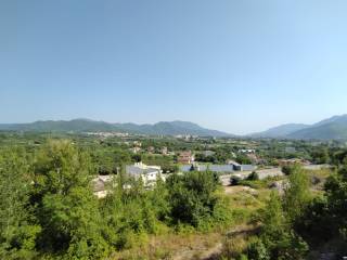 Vista