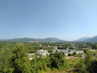 Vista