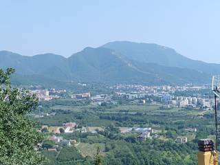 Vista