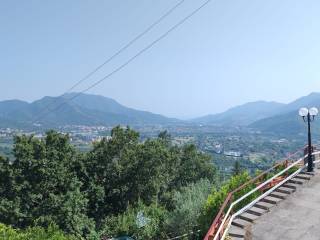 Vista