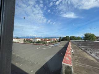 Vista