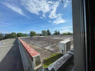 Vista