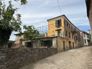 Zona