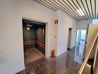 Ingresso