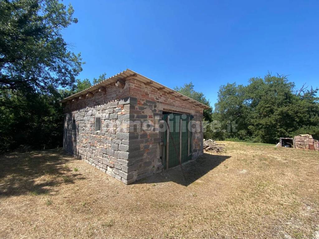 Terreno