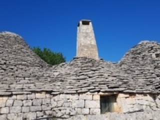 Zona