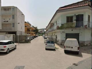 Zona
