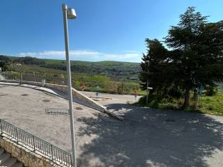 Zona