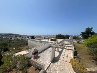 Vista