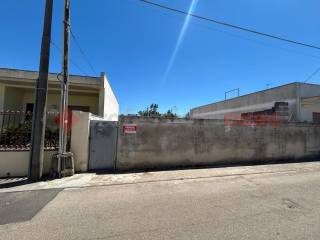 Zona