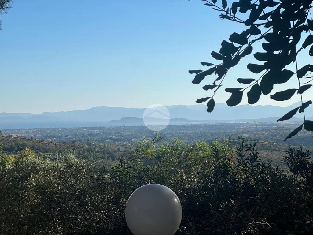 Vista
