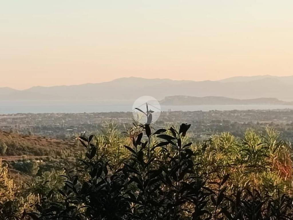 Vista