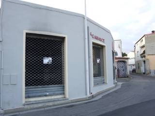 Zona