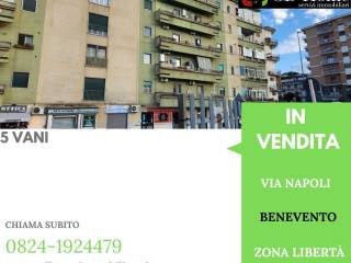 Zona