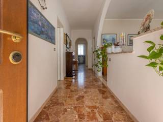 Ingresso