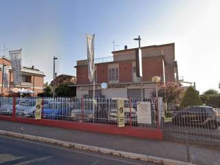Zona