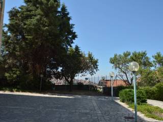 Zona