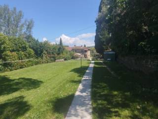 Zona