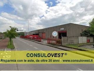 Zona
