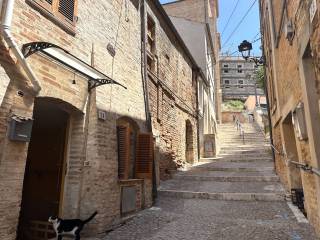 Zona